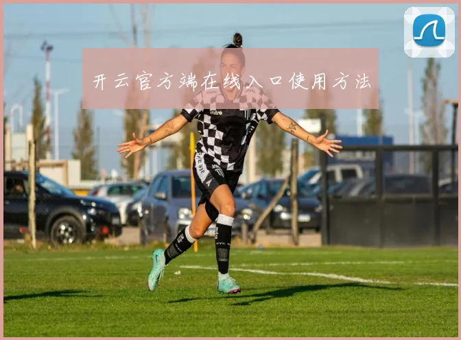 开云官方端在线入口使用方法