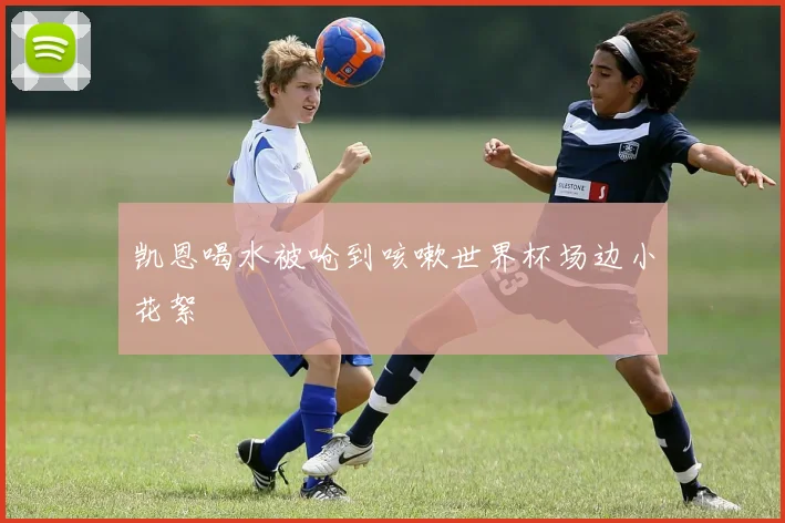 凯恩喝水被呛到咳嗽世界杯场边小花絮