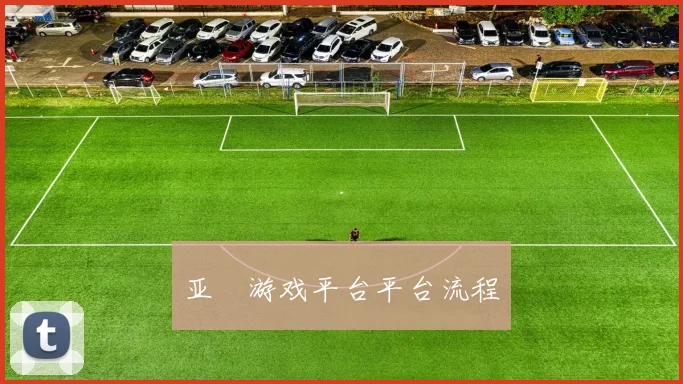 亚愽游戏平台平台流程