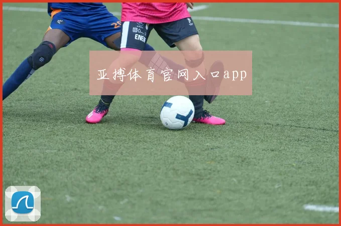 亚搏体育官网入口app