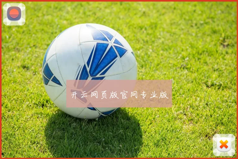开云网页版官网专业版