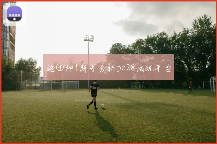 这④种!新手分析pc28试玩平台