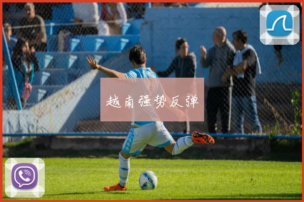 越南强势反弹