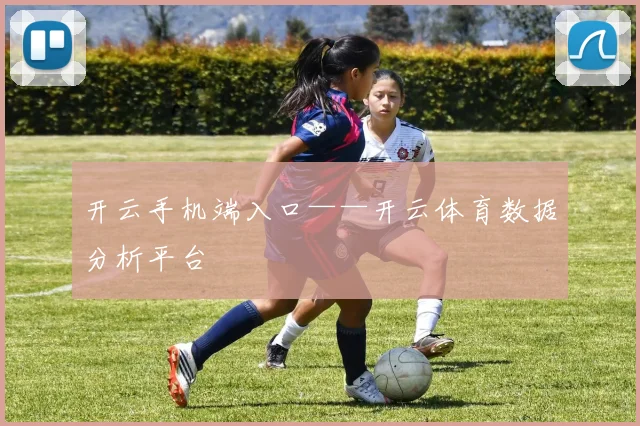 开云手机端入口——开云体育数据分析平台