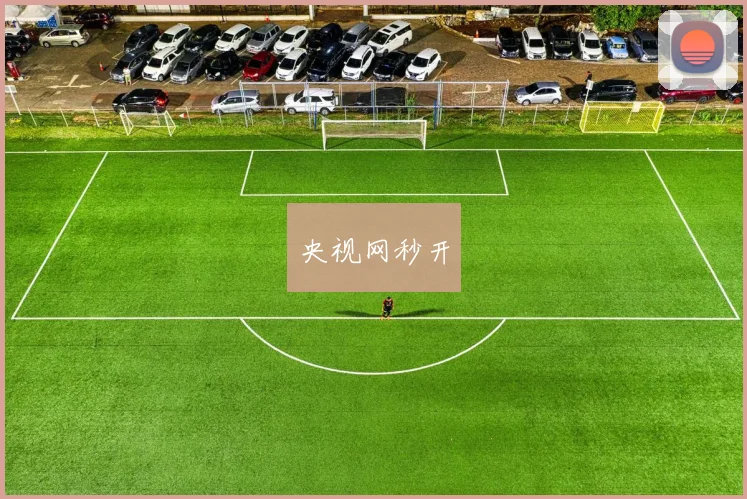 央视网秒开