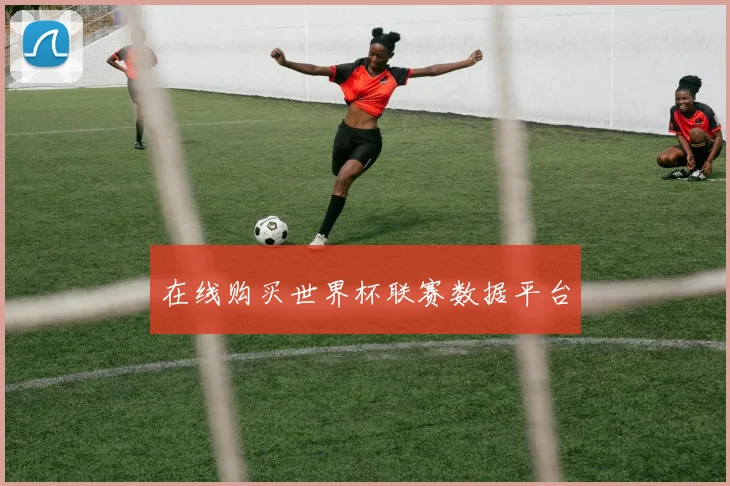 在线购买世界杯联赛数据平台