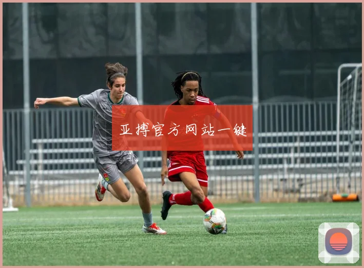 亚搏官方网站一键