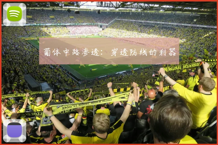 葡体中路渗透：穿透防线的利器