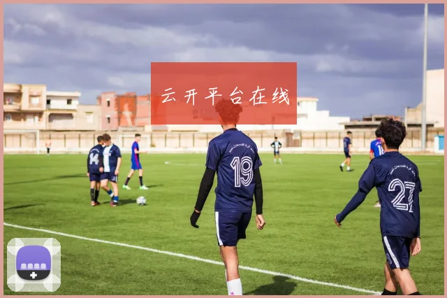 云开平台在线