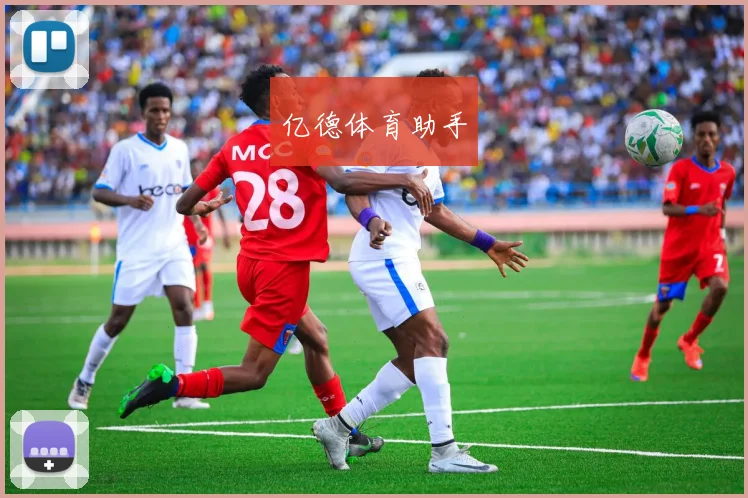 亿德体育助手