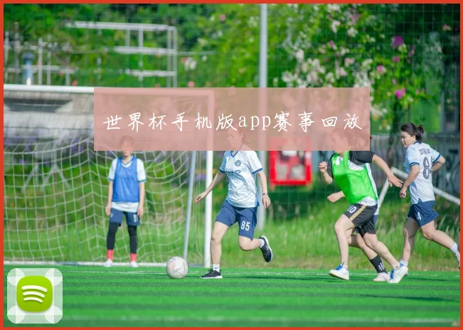 世界杯手机版app赛事回放