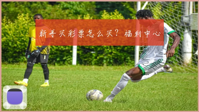 新手买彩票怎么买？福利中心
