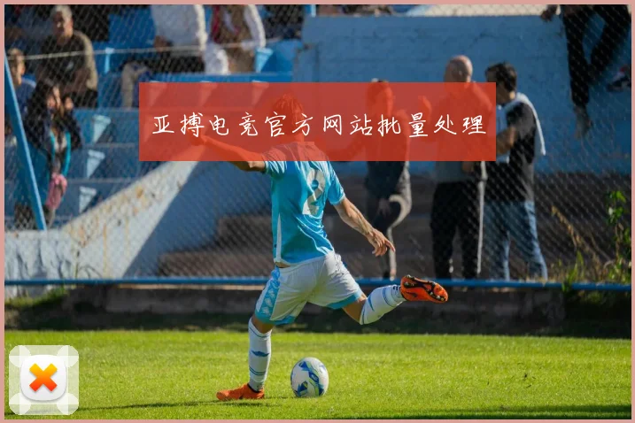 亚搏电竞官方网站批量处理