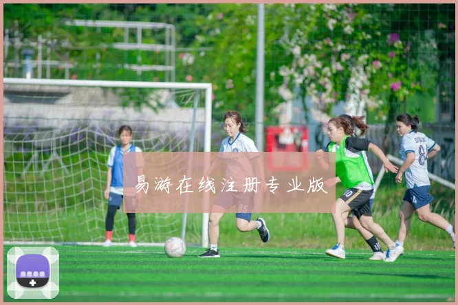 易游在线注册专业版