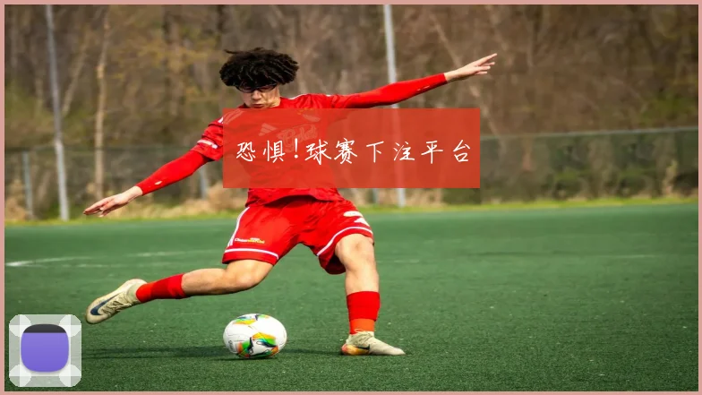 恐惧!球赛下注平台