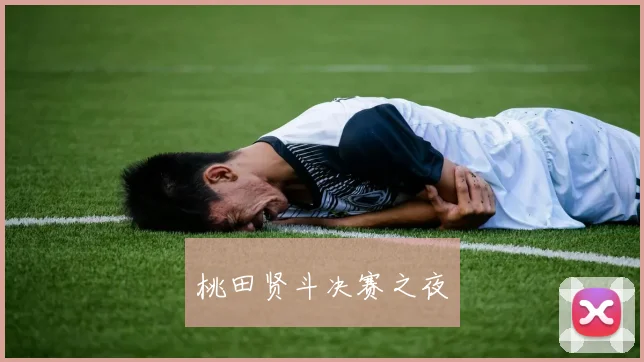桃田贤斗决赛之夜