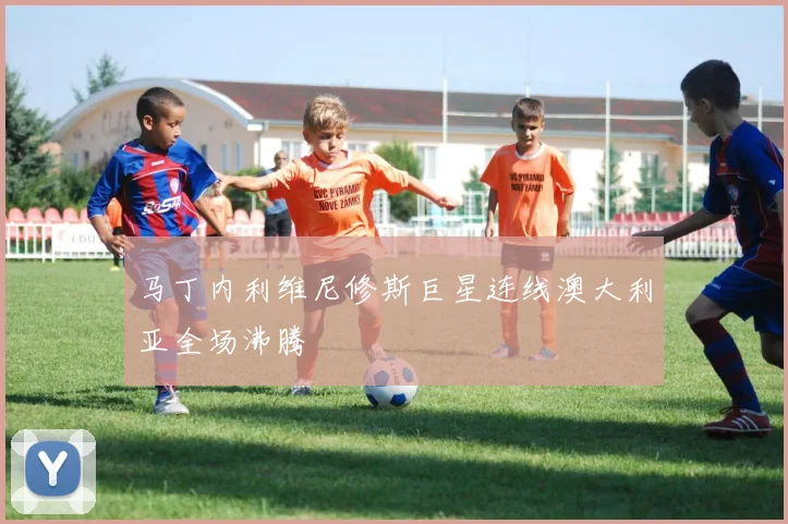 马丁内利维尼修斯巨星连线澳大利亚全场沸腾