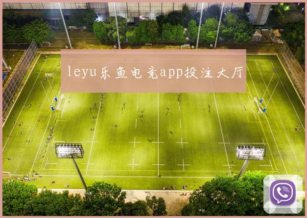 leyu乐鱼电竞app投注大厅