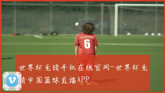 世界杯竞猜手机在线官网-世界杯竞猜中国篮球直播APP