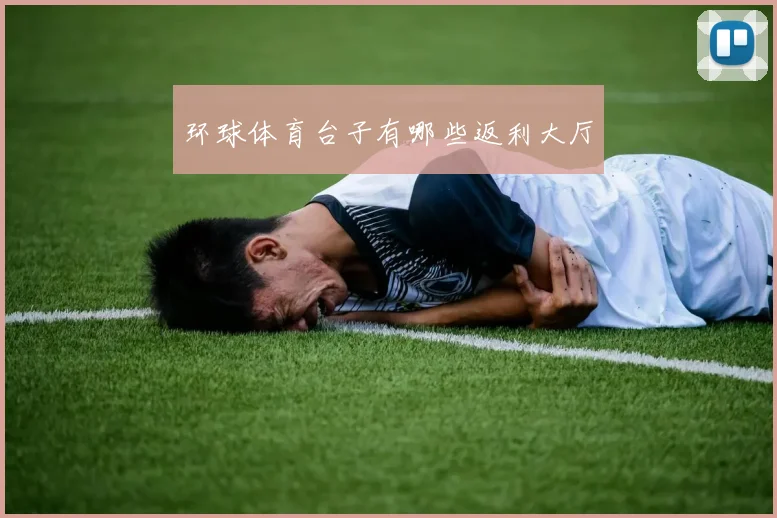 环球体育台子有哪些返利大厅