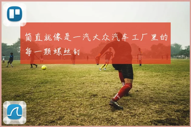 简直就像是一汽大众汽车工厂里的每一颗螺丝钉