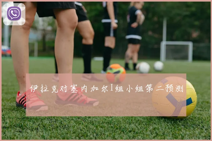 伊拉克对塞内加尔I组小组第二预测