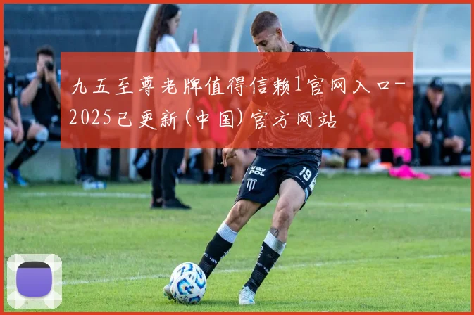 九五至尊老牌值得信赖1官网入口-2025已更新(中国)官方网站