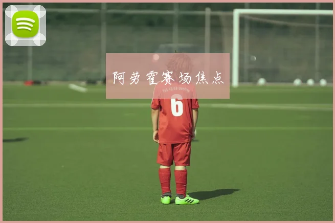 阿劳霍赛场焦点