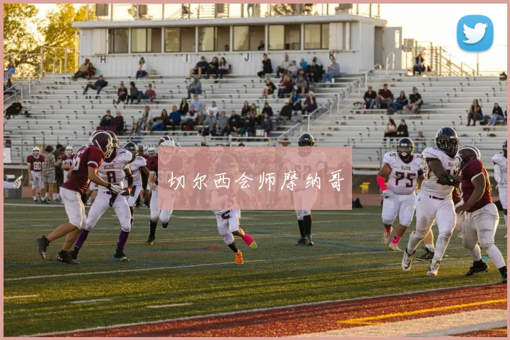 切尔西会师摩纳哥