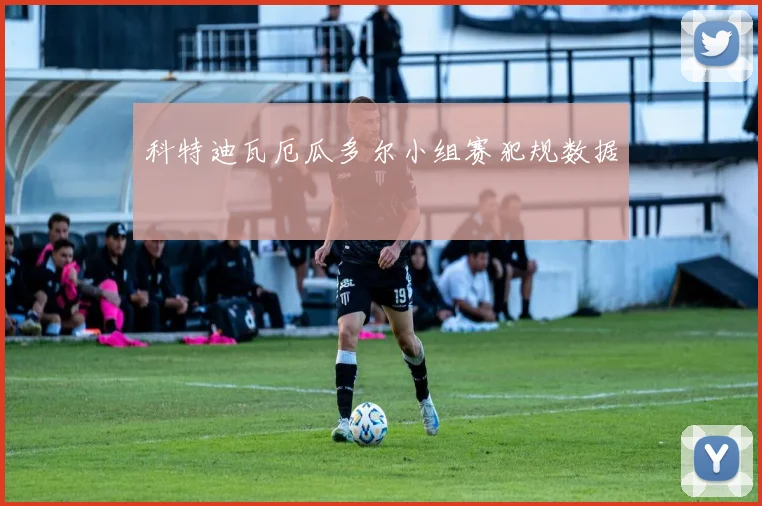 科特迪瓦厄瓜多尔小组赛犯规数据