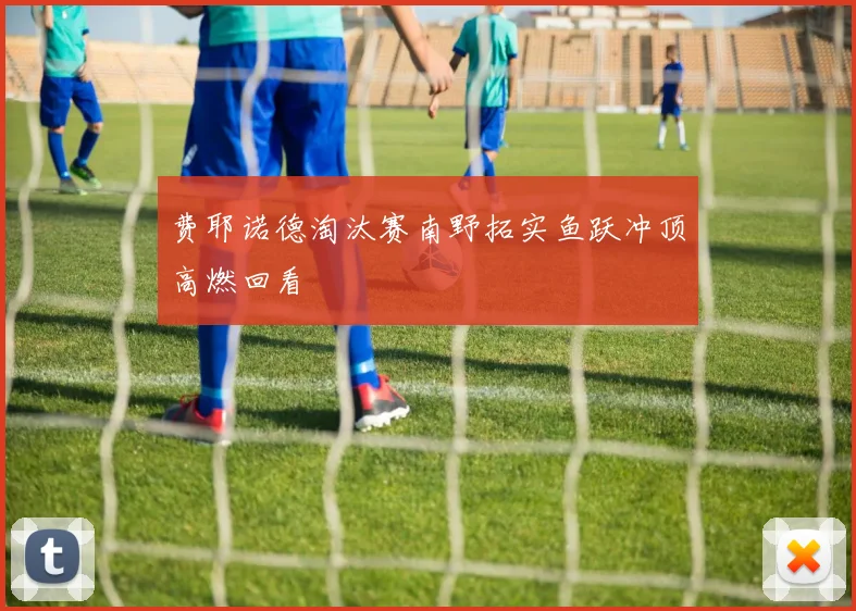 费耶诺德淘汰赛南野拓实鱼跃冲顶高燃回看