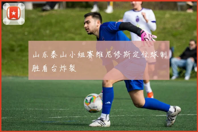 山东泰山小组赛维尼修斯定位球制胜看台炸裂