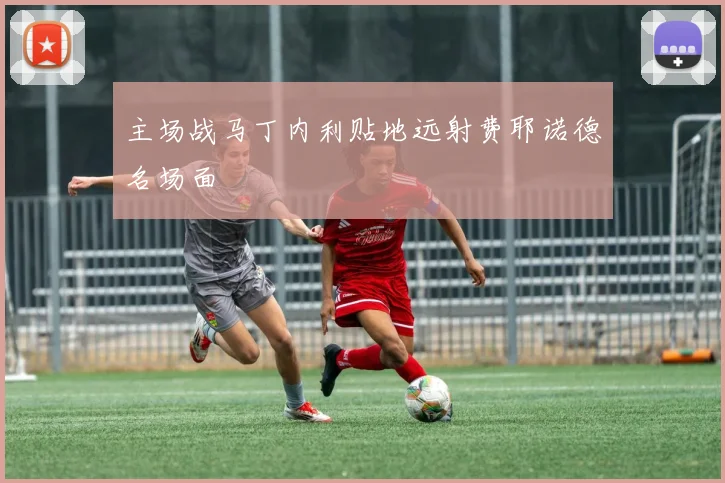 主场战马丁内利贴地远射费耶诺德名场面